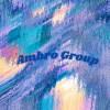 Ambro Group Inc image 1